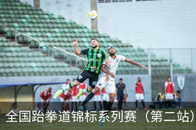 全国跆拳道锦标系列赛（第二站）第三日 冀晋浙苏各得一金