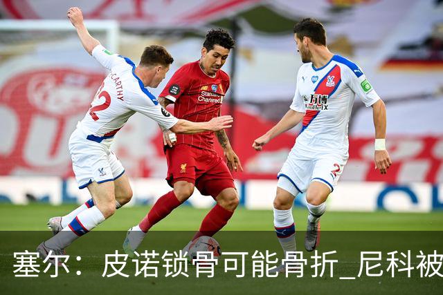 塞尔：皮诺锁骨可能骨折 尼科被铲伤可能提前结束世界杯之旅