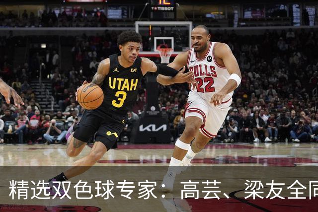 精选双色球专家：高芸、梁友全同中二等279万！
