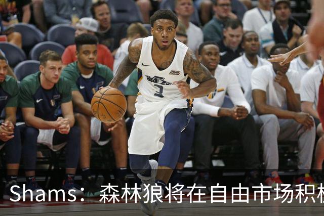 Shams：森林狼将在自由市场积极补强4号位 但他们只能提供底薪