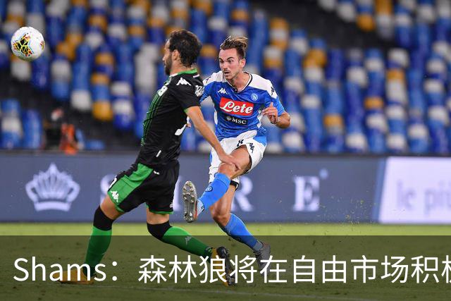 Shams：森林狼将在自由市场积极补强4号位 但他们只能提供底薪